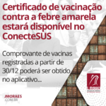 Certificado de vacinação contra a febre amarela estará disponível no ConecteSUS
