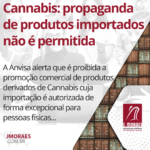 Cannabis: propaganda de produtos importados não é permitida