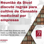 Template News (6)