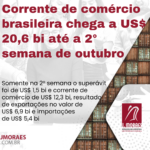 Template News (28)