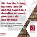 90 dias da Duimp: balanço inicial aponta avanços e desafios no novo processo de importação Template News (3)